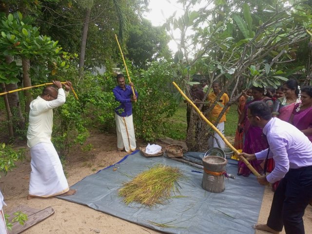 Pongal Vizha 2024