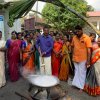 Pongal Vizha 2024