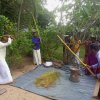 Pongal Vizha 2024